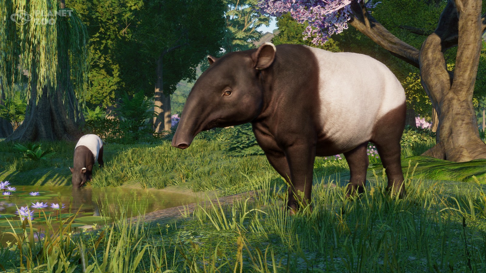 《动物园之星》新DLC欧亚动物包发售 1.16免费更新同步推出