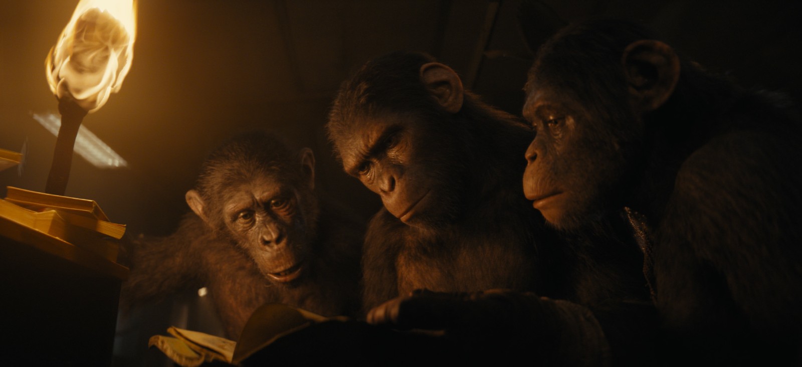 《猩球崛起4》新剧照公布 大猩猩好奇翻阅书籍