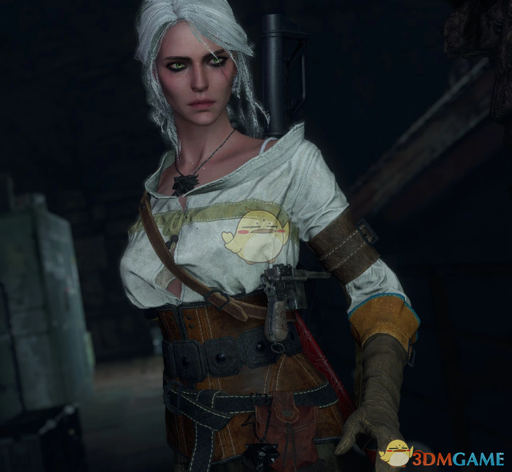 《生化危机4：重制版》巫师3希里取代艾达MOD