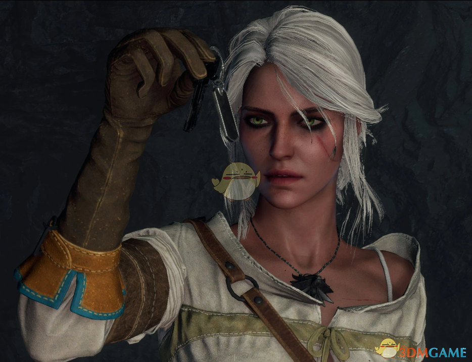 《生化危机4：重制版》巫师3希里取代艾达MOD