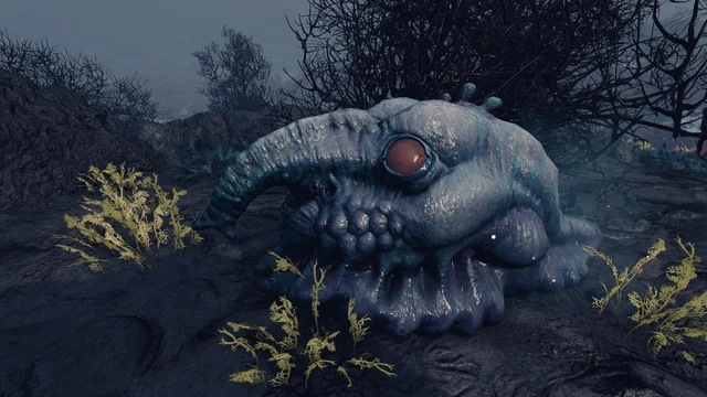 《星空》玩家发现丑陋克系生物 酷似《月球旅行记》经典月亮脸