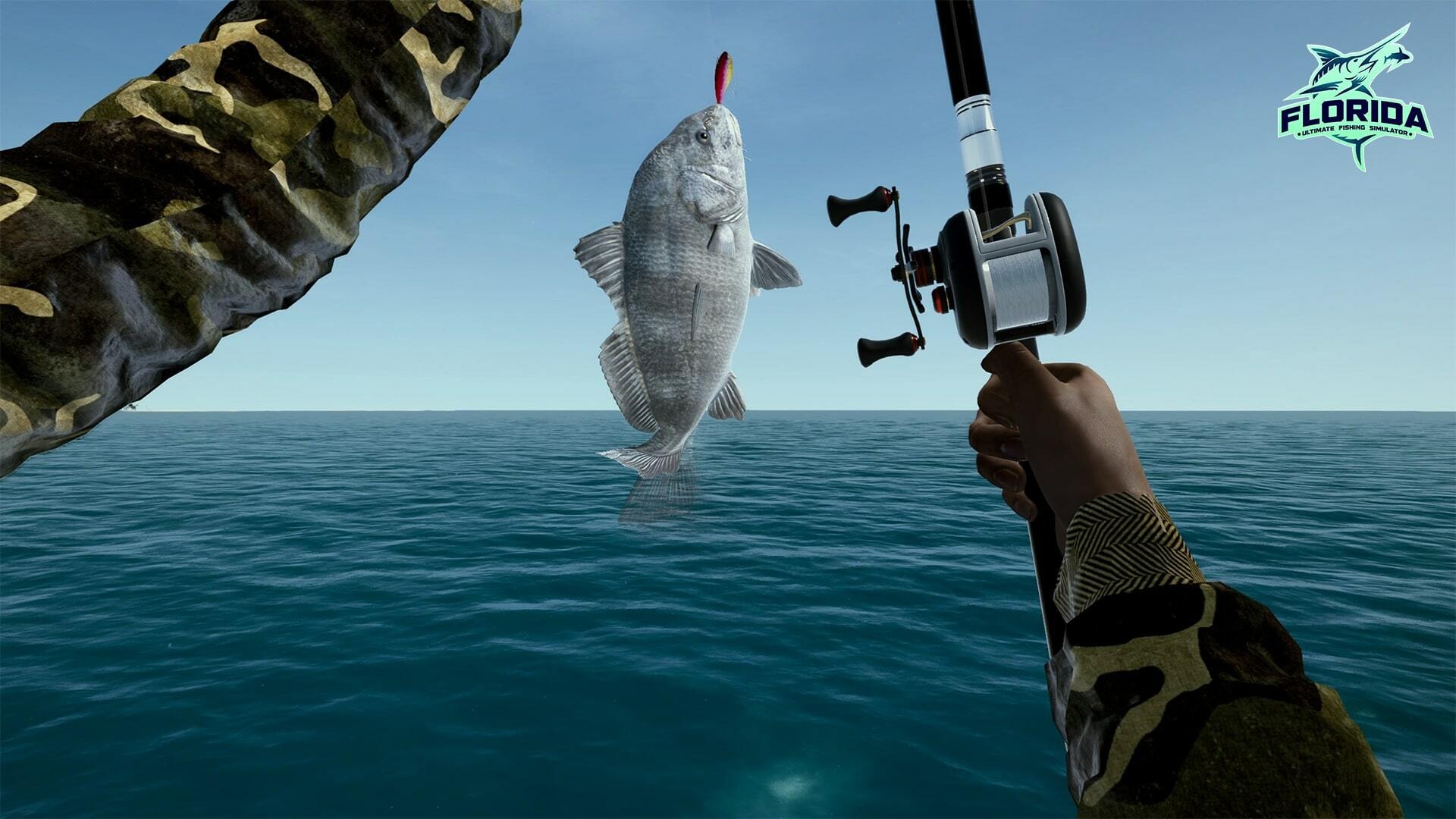 《終極釣魚模擬器》新DLC 前往佛羅里達玩海釣