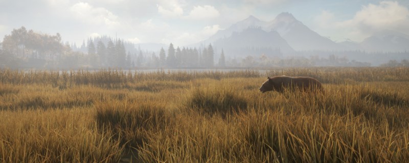 《猎人：荒野的呼唤》夸特罗的狍鹿怎么抓