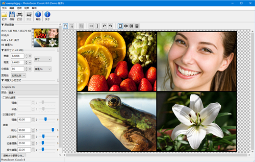 PhotoZoom Classic32位8.2.0.0