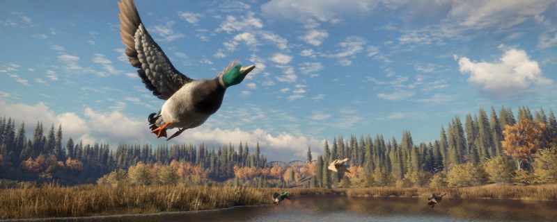 《猎人：荒野的呼唤》雷文图里的凤头潜鸭怎么抓