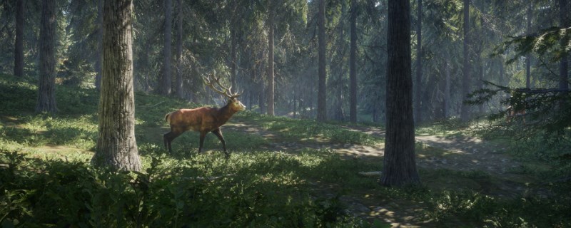 《猎人：荒野的呼唤》夸特罗的袍鹿在哪