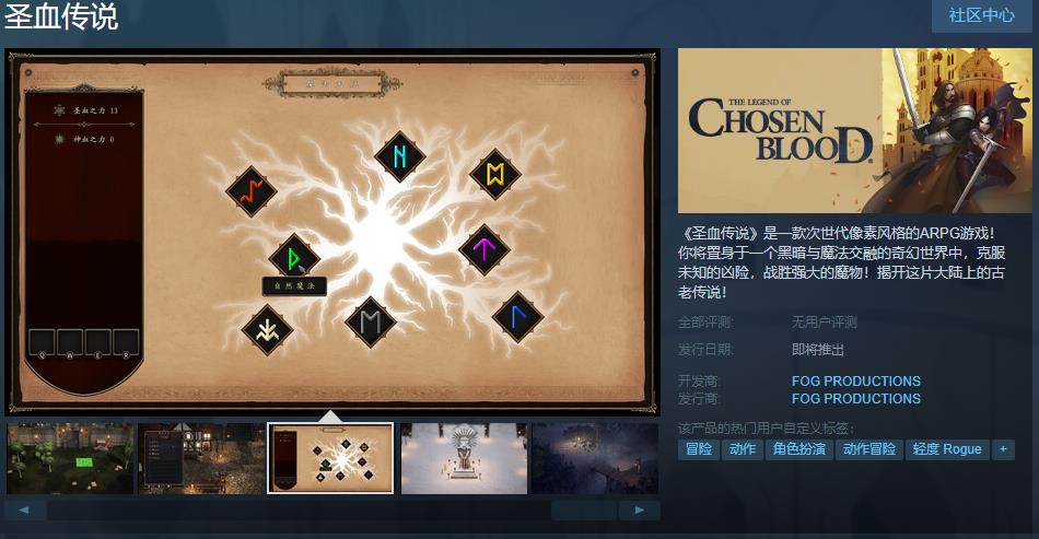 次世代像素作风的ARPG游戏《圣血传讲》Steam页里 支持中文