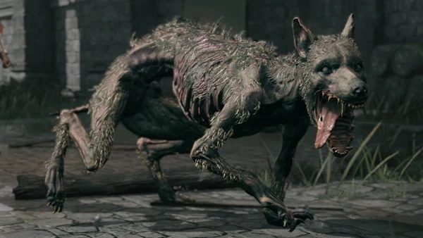 玩家测试证实 《艾尔登法环》中仅有的“乖狗狗”也想置玩家于去世地