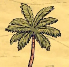 《饥荒海难》椰子树作用