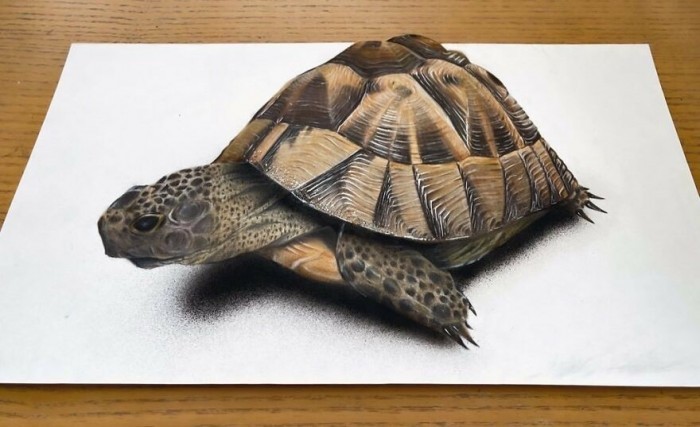 日本画师绘制超逼真立体画 实物跃然纸上难辨真假