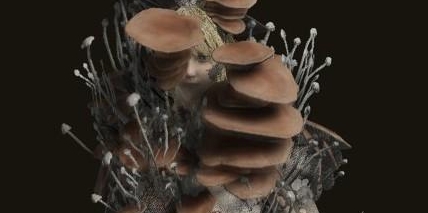 《艾尔登法环》蘑菇套装位置攻略