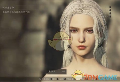 《龙之信条2》白发红眼魔女捏脸数据MOD