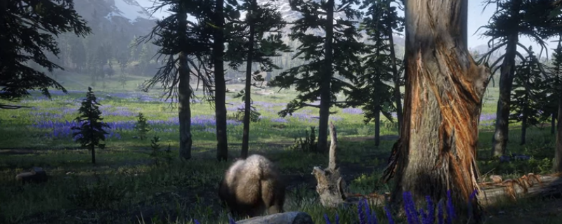 《荒野大镖客2》3星动物怎么狩猎比较好