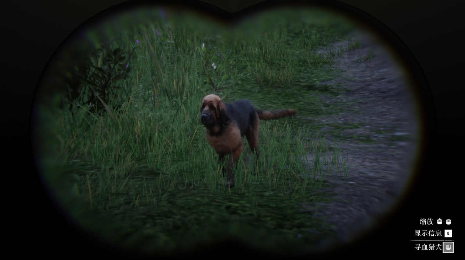 《荒野大镖客2》动物寻血猎犬在哪里找