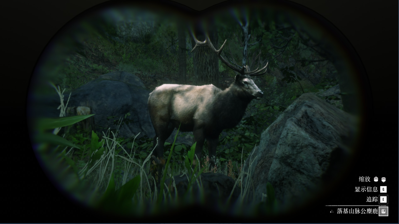 《荒野大镖客2》动物落基山脉公麋鹿在哪里找