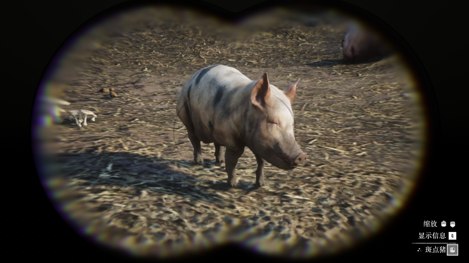 《荒野大镖客2》动物斑点猪在哪里找
