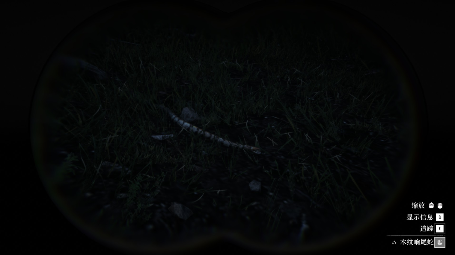 《荒野大镖客2》动物木纹响尾蛇在哪里找