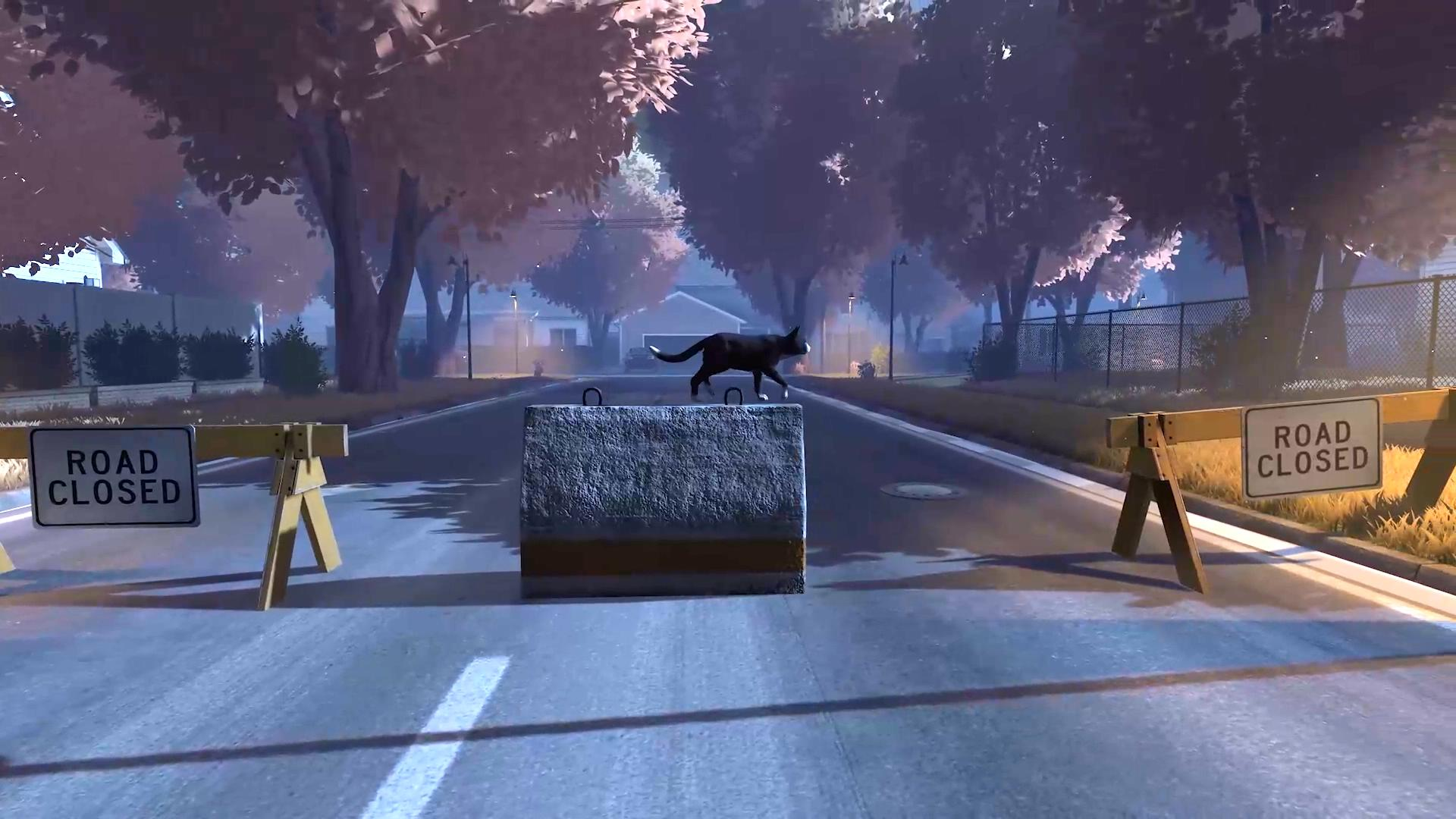 《冒牌猫谜》亮相高能电玩节  一场猫咪的寻家之旅