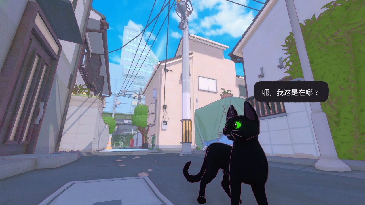 《小猫咪大城市》5月9日上线 登陆Steam/NS/Xbox