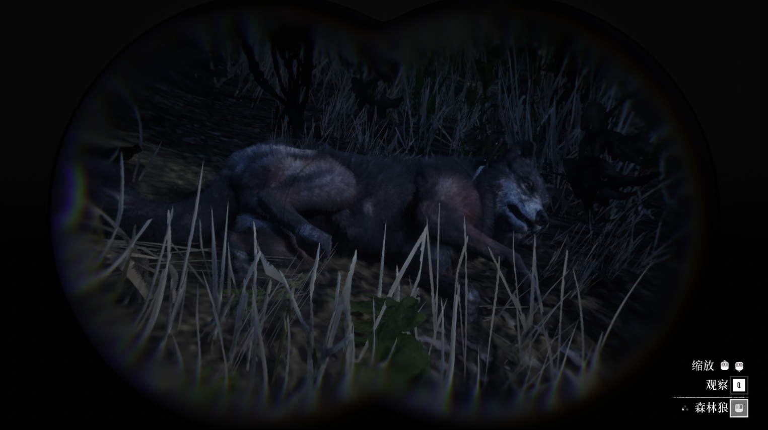 《荒野大镖客2》动物森林狼在哪里找