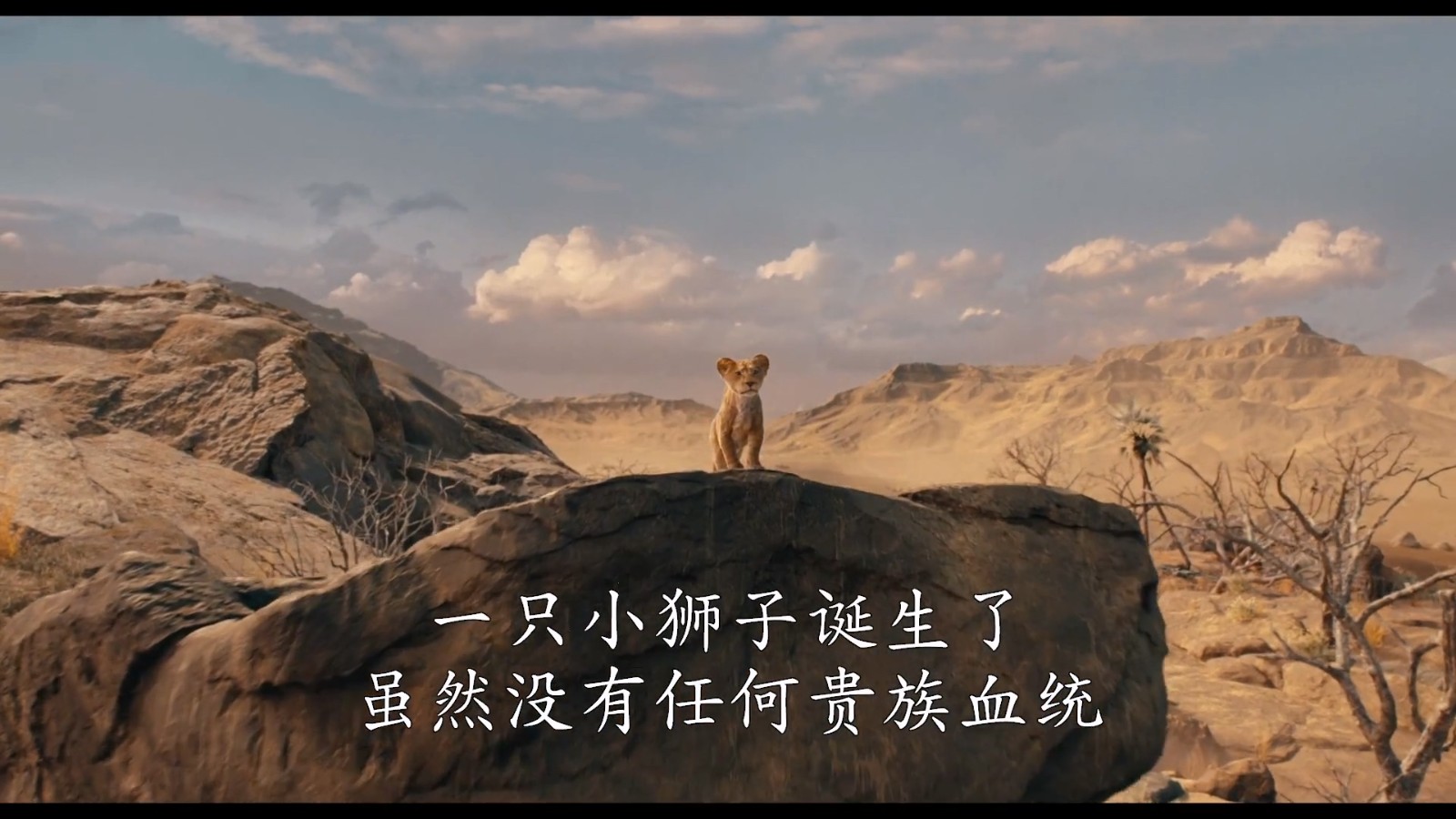《狮子王》前传《狮子王：木法沙传奇》首曝预告