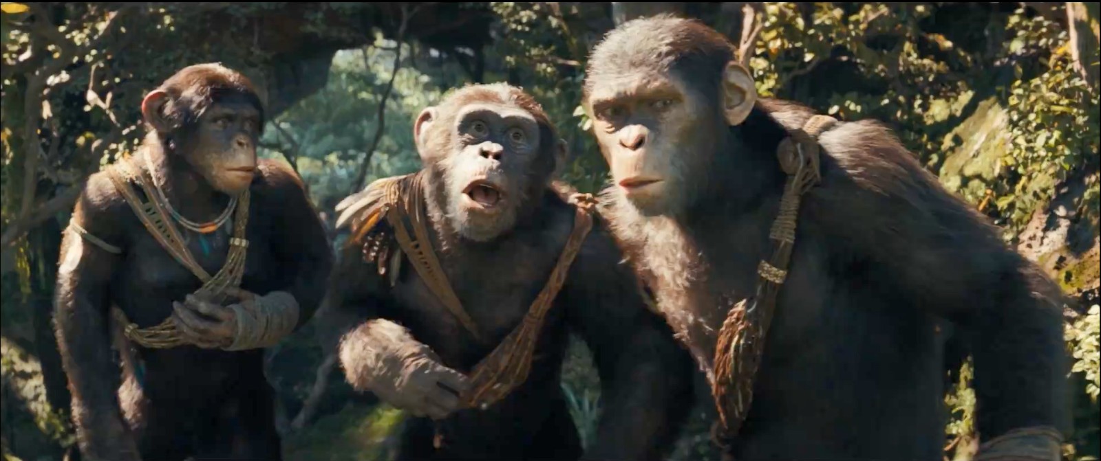 《猩球崛起4：新世界》7分钟加长版片段曝光
