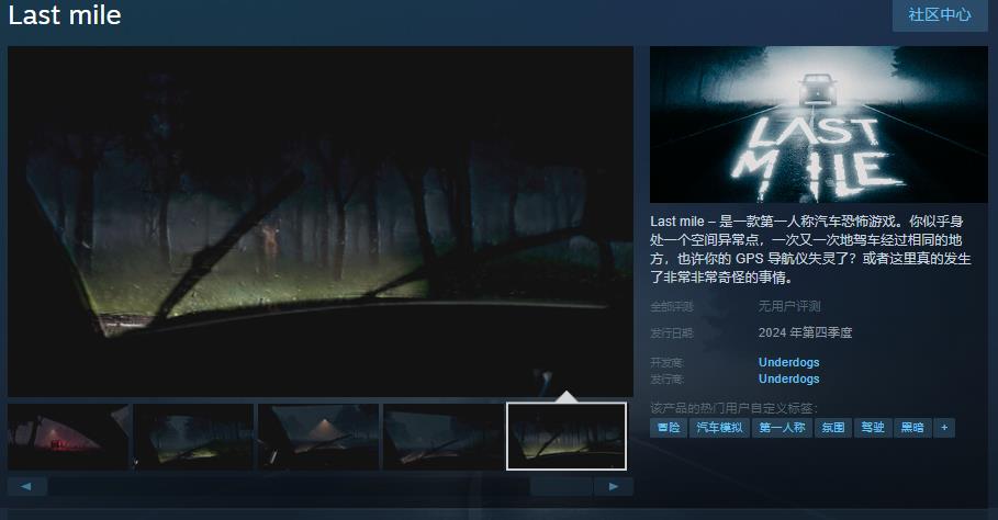 第一人称汽车恐怖游戏《Last mile》Steam页面 支持简中