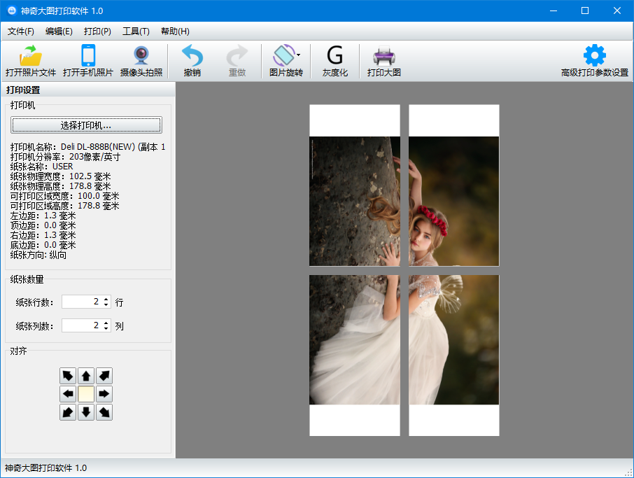 神奇大图打印软件电脑版1.0