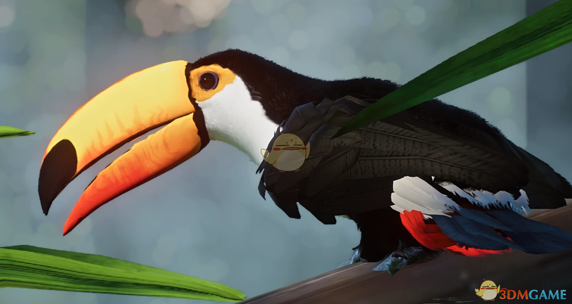 《动物园之星》新物种托哥巨嘴鸟MOD