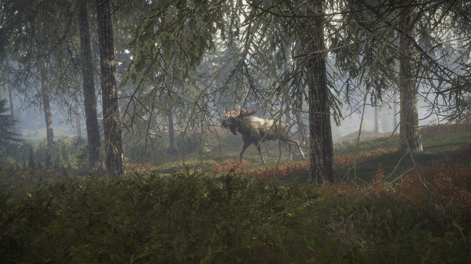 《猎人：荒野的呼唤》DLC上线 追踪13种野生动物