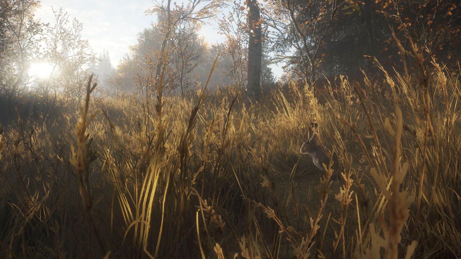 《猎人：荒野的呼唤》DLC上线 追踪13种野生动物
