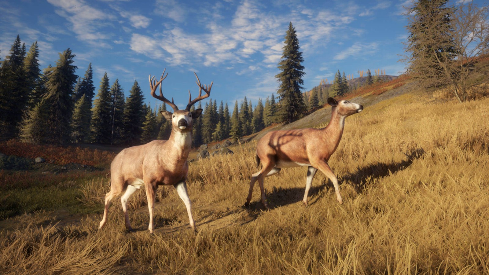 《猎人：荒野的呼唤》DLC上线 追踪13种野生动物