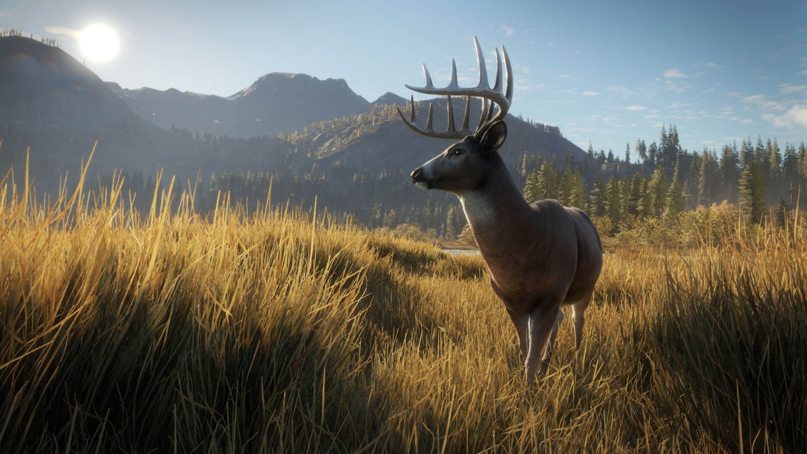 《猎人：荒野的呼唤》DLC上线 追踪13种野生动物