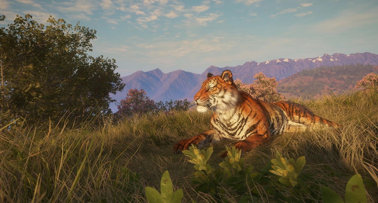 《猎人：荒野的呼唤》DLC上线 追踪13种野生动物