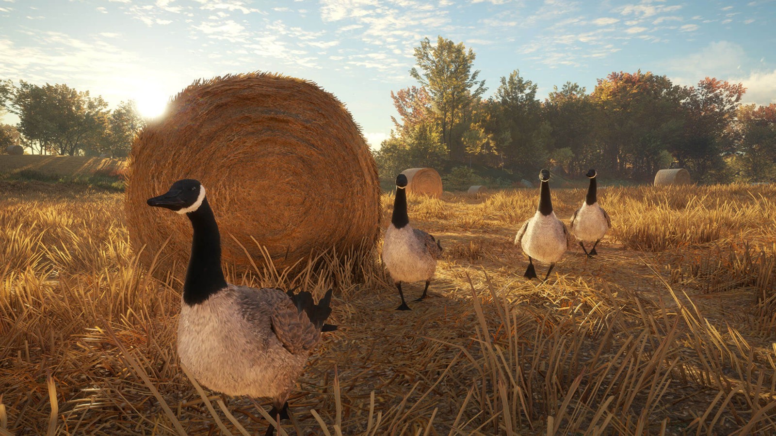 《猎人：荒野的呼唤》DLC上线 追踪13种野生动物