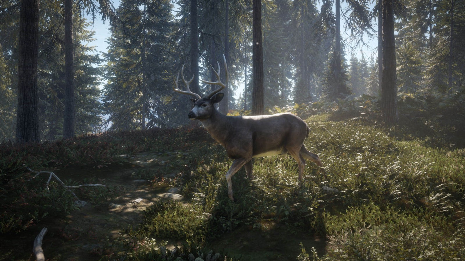 《猎人：荒野的呼唤》DLC上线 追踪13种野生动物