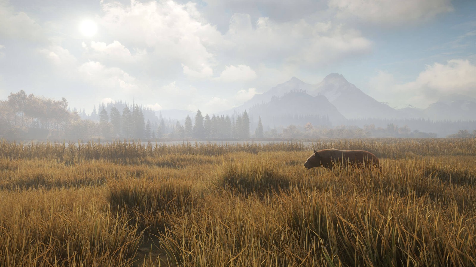 《猎人：荒野的呼唤》DLC上线 追踪13种野生动物