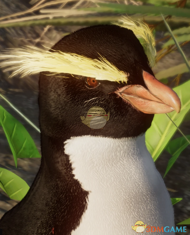 《动物园之星》新物种冠企鹅MOD