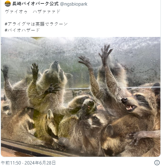 長(zhǎng)崎動(dòng)物園發(fā)浣熊驚悚圖片 生化危機(jī)官方驚呼太像了