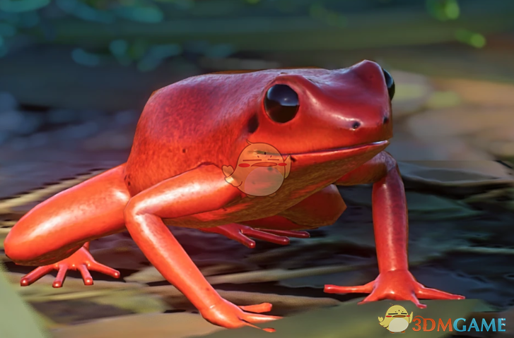 《动物园之星》新物种赤红箭毒蛙MOD