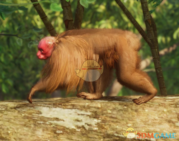 《动物园之星》新物种赤秃猴MOD