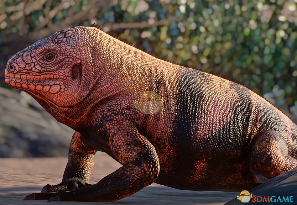 《动物园之星》新物种加拉帕戈斯粉红鬣蜥MOD