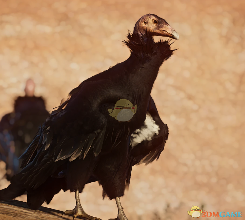 《动物园之星》新物种加利福尼亚秃鹫MOD
