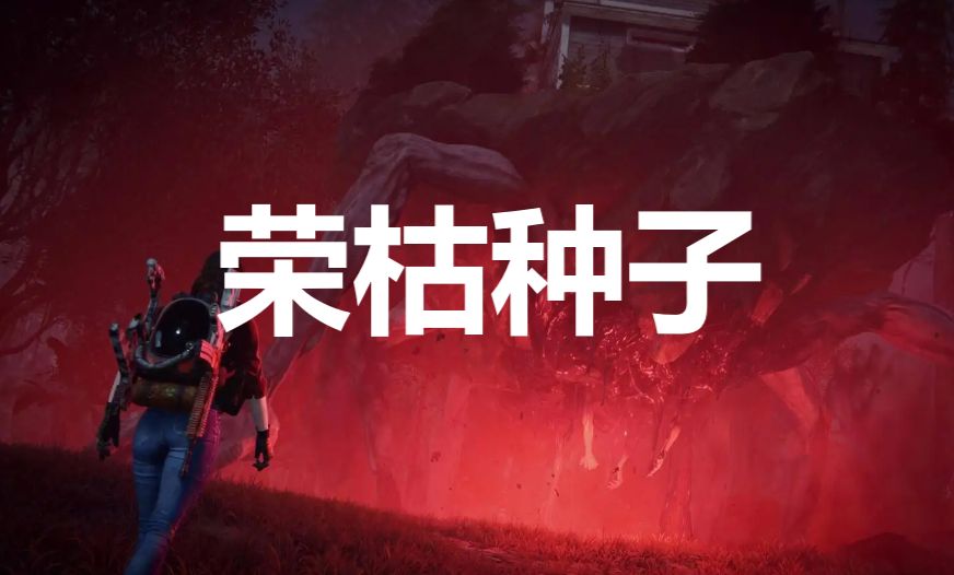 硷ٿôȡ