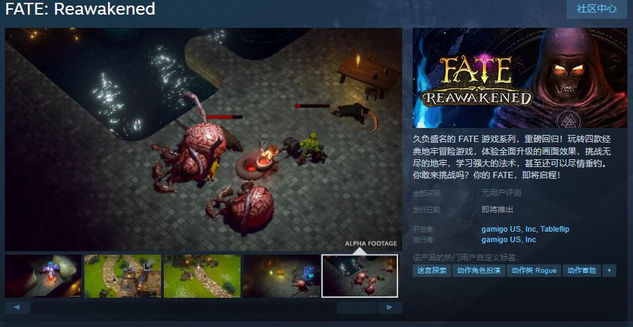 暗黑游戏《FATE: Reawakened》Steam页面 支持简体中文