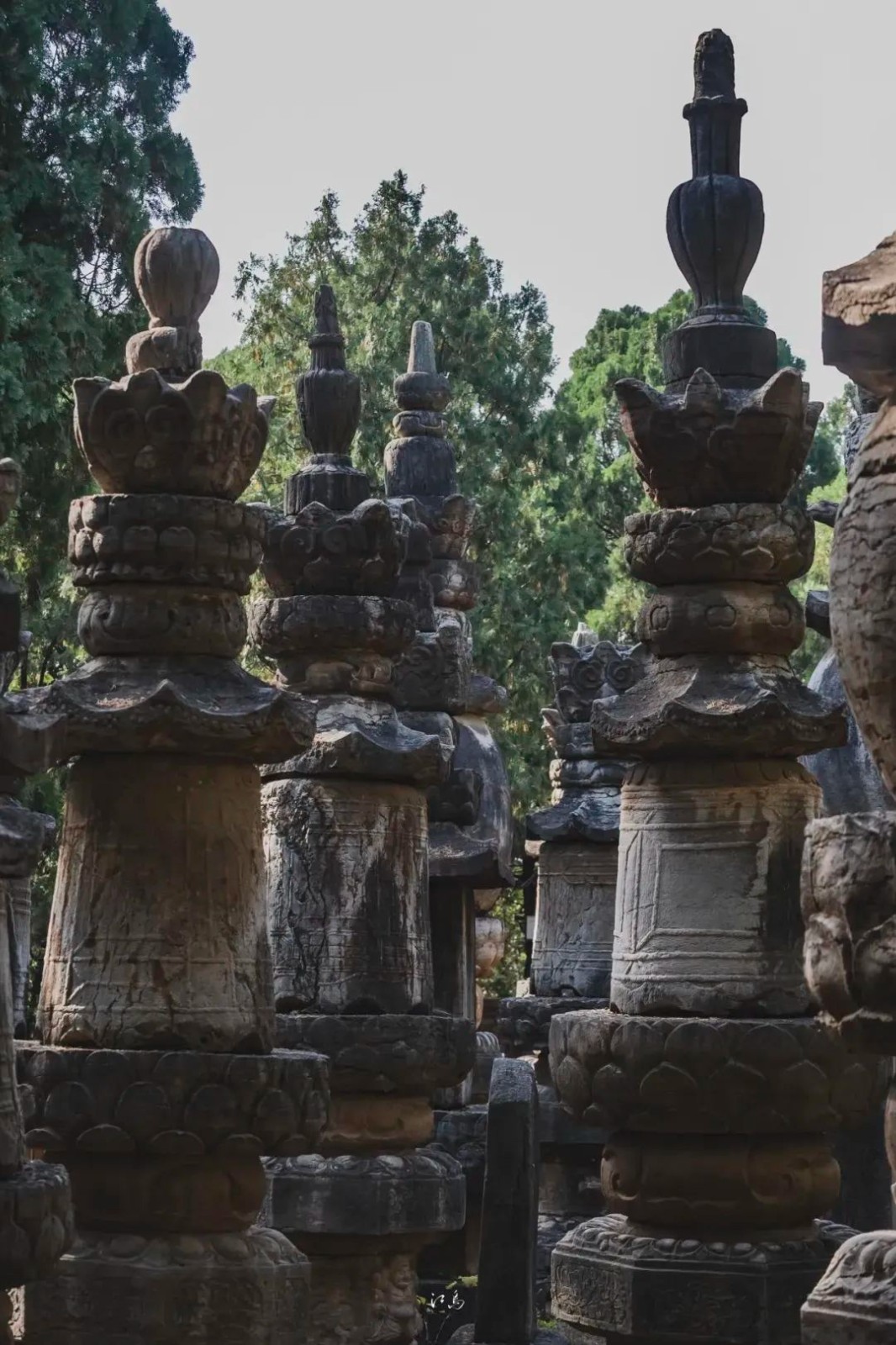 通關《黑神話：悟空》第三章 可終生免費遊濟南靈巖寺