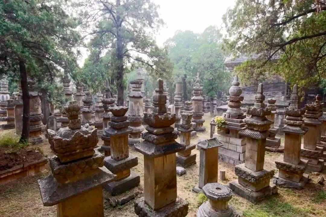 通关《黑神话：悟空》第三章 可终生免费游济南灵岩寺