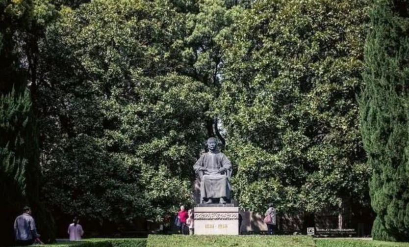 見過了老年人們的“公園狠活”，我才知道什么叫“高手在民間”