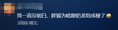 牢大VS胖猫VS奶龙，成为烂梗的地狱笑话正在大乱斗