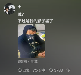 为什么昔日的电音教主Alan Walker，变成了如今的群嘲对象艾鲁迪克？